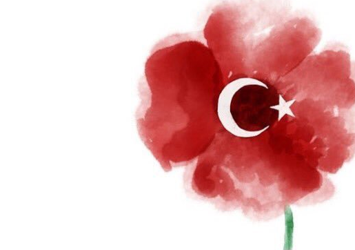 "Pray for Turkey": gestul de solidaritate facut de mii de oameni. Imaginile-protest care au aparut pe retelele de socializare