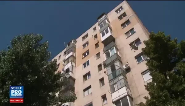 Birul pe caine, taxa controversata adoptata de o asociatie de locatari din Arad. Ce vor face acum stapanii de animale