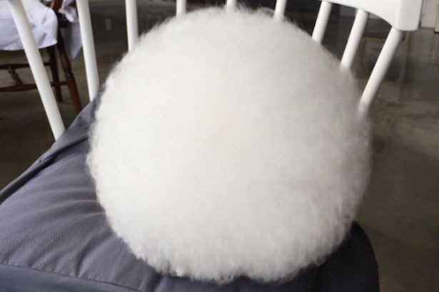 Fotografia care a adunat peste 69.000 de followeri pe Instagram. Toata lumea e uimita cand afla ce este in imagine