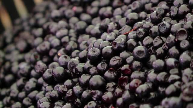 Am intrat in sezonul fructelor de padure. Ce beneficii au pentru organism si la cat ajunge un kilogram in piata