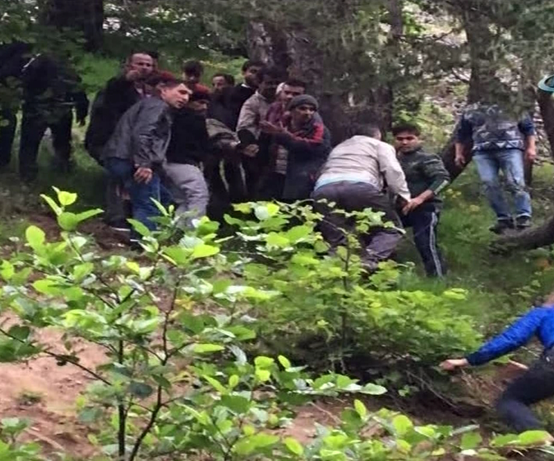 Un elicopter militar s-a prabusit in nordul Turciei. "Sapte persoane, colegi de arme, sotii si copii, si-au pierdut viata"