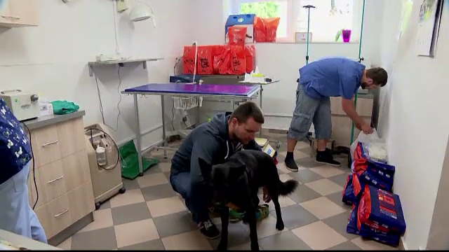 Si animalele pot dona sange pentru semenii lor, la un centru din Polonia. Recompensele primite de acestea