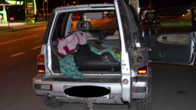 Au oprit o masina pentru un control de rutina si au avut parte de o surpriza. Ce au gasit politistii din Brasov in portbagaj