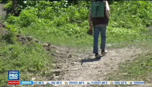 Un barbat de 39 de ani din Vaslui, acuzat ca si-a ucis iubitul cu 7 ani mai tanar. De la ce a pornit tot scandalul