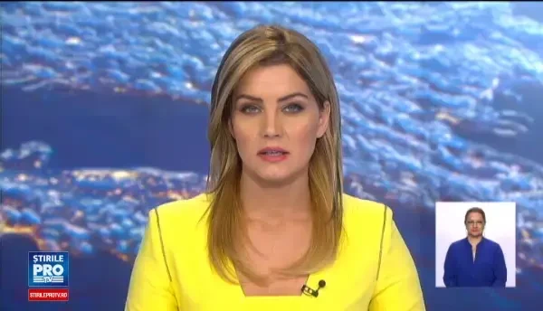 Circuitul economic evazionist prin care statul a pierdut 5 milioane de euro. Cine ar fi creierul intregii operatiuni