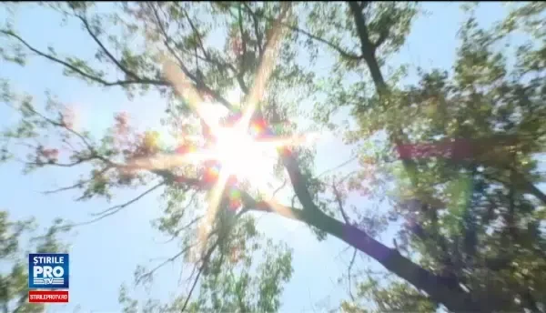 Canicula si UEFA EURO 2016 au crescut consumul de bere in Romania. Reactia strainilor care au gustat din berea autohtona