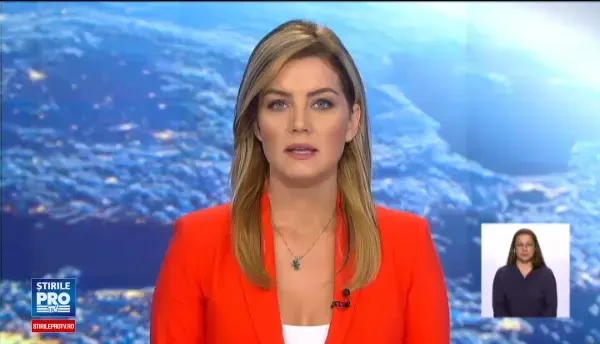 Scene de groaza in Sighetu Marmatiei. Un cal scapat de sub control a ranit 7 persoane: una e in stare grava