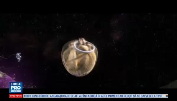 Jennifer Lopez isi imprumuta vocea tigroaicei Shira, in noul film Epoca de gheata