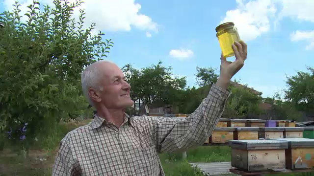 Prapad printre albine si criza pentru apicultorii din Romania. La cat va ajunge pretul mierii in prag de iarna