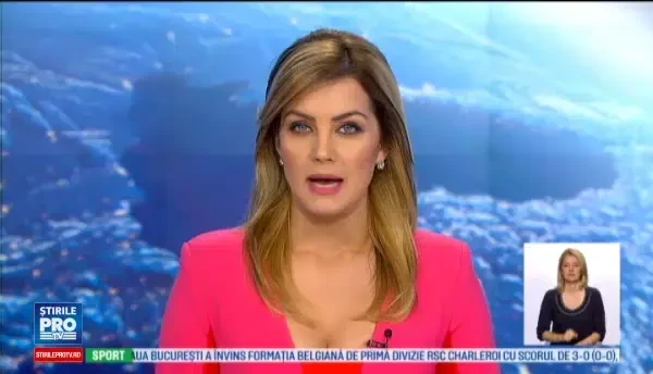 Prapad printre albine si criza pentru apicultorii din Romania. La cat va ajunge pretul mierii in prag de iarna