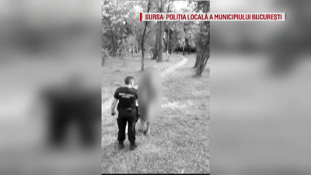 Dosar penal deschis de politie dupa ce doi tati s-au batut in parcul Carol. Conflictul a pornit de la o cearta intre copii