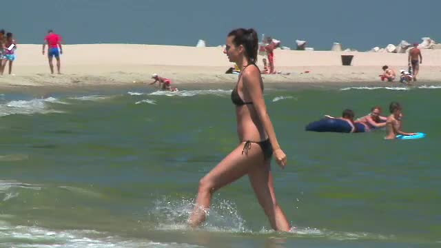 Invazia de meduze pe litoral: fenomenul rar de care au avut parte mii de turisti. Ce se intampla daca intri in contact cu ele