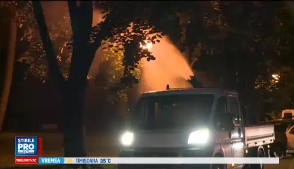 Primaria Capitalei incepe dezinsectia cu o intarziere de 3 luni. Motivul pentru care ecologistii se opun uciderii tantarilor