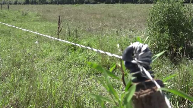 O femeie din Alba a murit dupa ce s-a electrocutat in gardul unui vecin. Politia l-a arestat imediat pe barbat