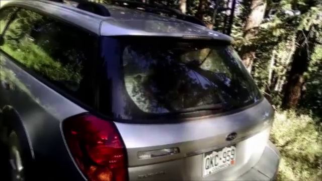 O tanara din SUA si-a parcat masina langa o padure si a avut parte de o surpriza. Ce a descoperit in interior