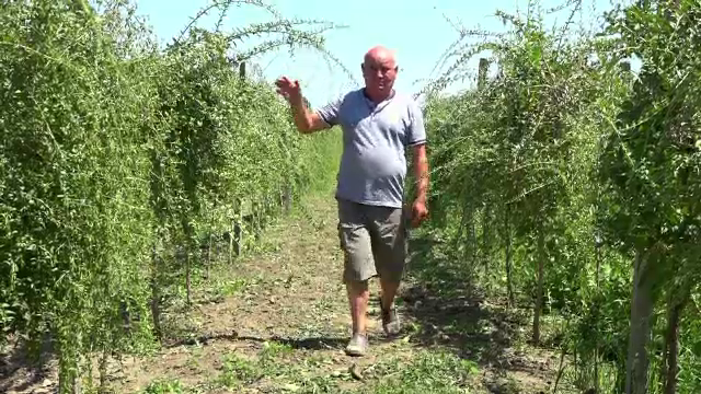 Romanii care au dat lovitura cu o investitie de 50 de lei isi vand marfa pe pietele exotice: "M-a sunat Miguel, din Peru"