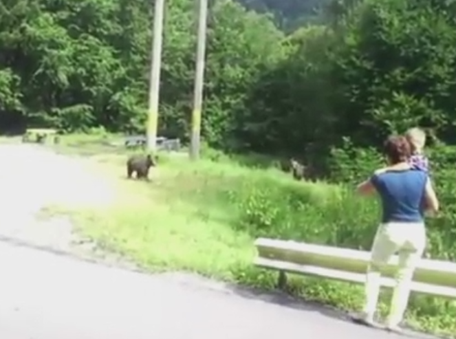 Imagini uimitoare, surprinse pe Transfagarasan. O femeie cu un copil in brate, filmata in timp ce hranea doi pui de urs