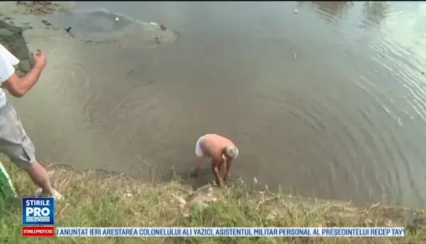 Mii de pesti au ramas in aluviuni, dupa ce doua baraje au fost secate. Localnic: Astia is de grata