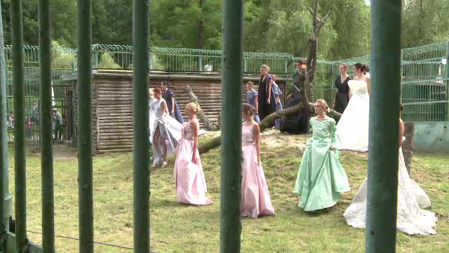 Saptamana modei la Sibiu: fotomodele puse sa defileze in cusca leilor. Creatiile, apreciate de editorii de moda straini