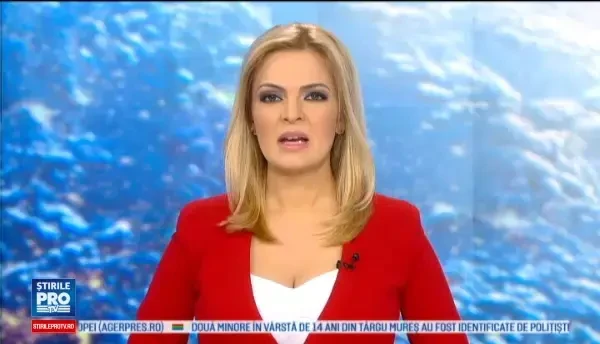 Arborele clonat care traieste 3.000 de ani si ar putea pune capat incalzirii globale. Un ONG il plateaza prin toata lumea