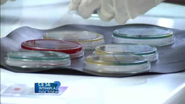 De ce este bine sa lasam copiii sa bea apa dintr-un izvor si sa manance un fruct nespalat. Rolul esential al bacteriilor