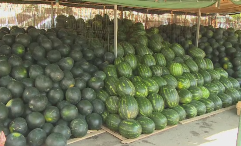 Pepenii vanduti pe marginea drumului ar putea deveni istorie. Comerciantii, nemultumiti ca au fost trimisi in piete