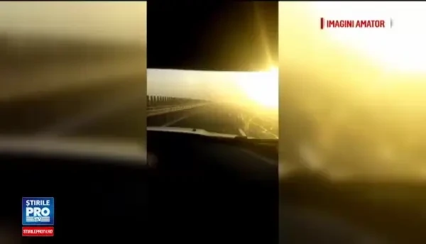 Indiferenta autoritatilor cu privire la lipsa perdelelor forestiere de pe drumuri. Cati pomi s-au plantat in 12 ani