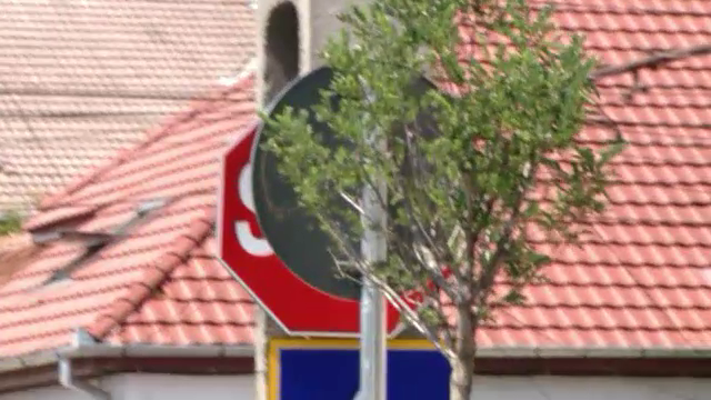 Accidente in Timisoara, din cauza unui semn de circulatie mascat de un pom. O familie intreaga a ajuns sambata la spital