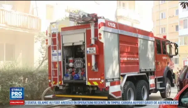 Pisica salvata de pompieri dintr-un apartament cuprins de flacari, in Timisoara. Era in coma, i-am pus masca de oxigen