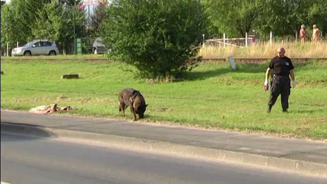 Tanara de 25 de ani, violata intr-o zona intens circulata din Sibiu. Cine a ajutat-o pe victima sa ajunga la spital