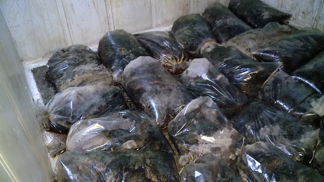 Focar de infectie in Brasov. "E un miros groaznic, copiii vomita, nu pot sa manance"