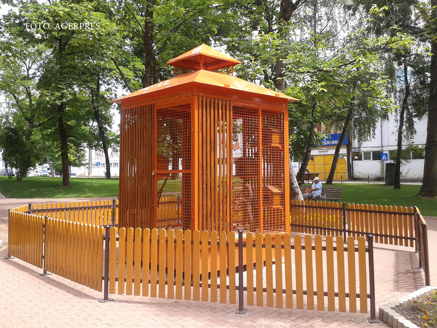 Scandalul veveritelor din Bistrita se apropie de un deznodamant tragic. Puii au fugit, mama a murit in conditii misterioase