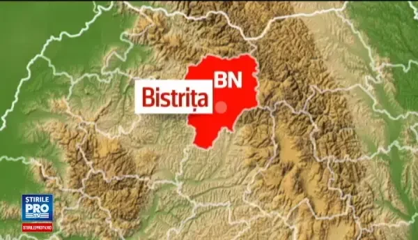 Cusca de veverite de 17.000 de lei din Bistrita este ilegala. Primaria risca o amenda uriasa, plus pierderea animalelor