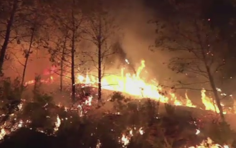 Peste o mie de hectare ale unui parc natural protejat din Spania, distruse de un incendiu urias. De la ce au pornit flacarile