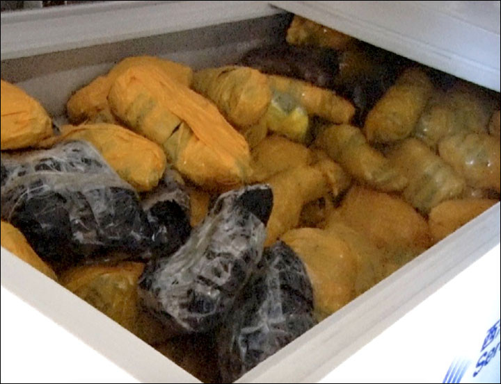 Captura incredibila facuta de politistii de frontiera din Rusia. In frigider se afla un animal mort de cateva MII de ani