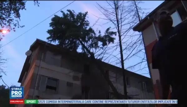 Brad doborat de furtuna peste un bloc din Drobeta Turnu Severin. Interventia dificila desfasurata de pompieri