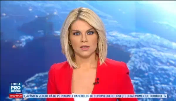 Grupare banuita ca falsifica documente de identitate, depistata la Timisoara. Ce pret avea un pasaport contrafacut