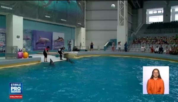 Noul Delfinariu din Constanta, redeschis vineri. Ce facilitati ofera investitia de 13 milioane de lei