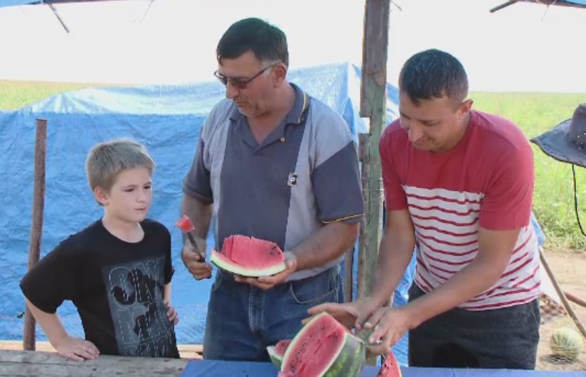 Pepenii romanesti ajung in pietele din Vestul Europei. Cu cat se vinde kilogramul la taraba