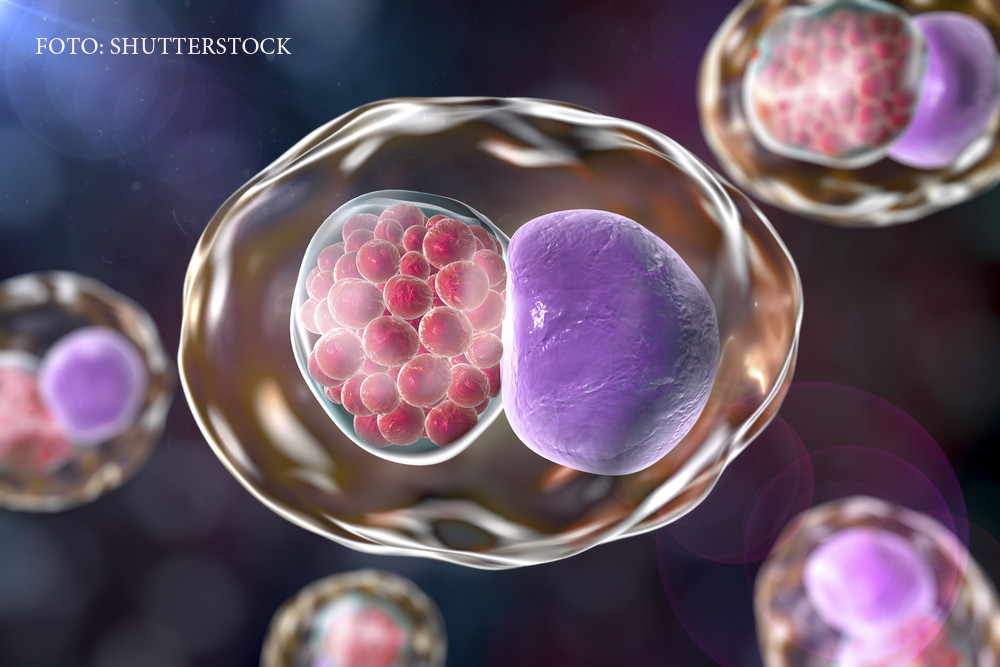 Infectiile care se trateaza obligatoriu in cuplu. Daca nu sunt descoperite la timp, pot duce la infertilitate ireversibila