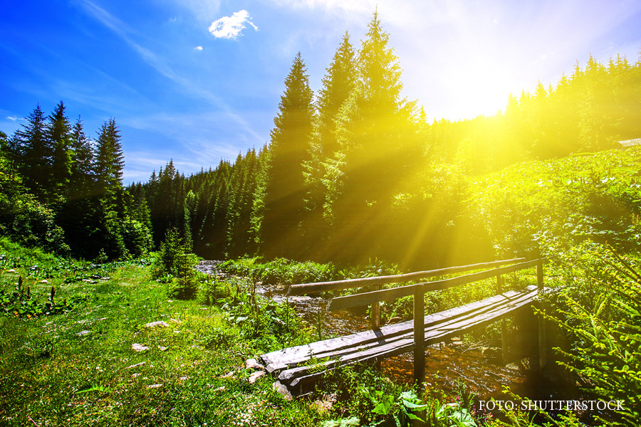 Vreme nefiresc de calda in vestul tarii, cu maxime de 33 de grade. Prognoza meteo pana sambata