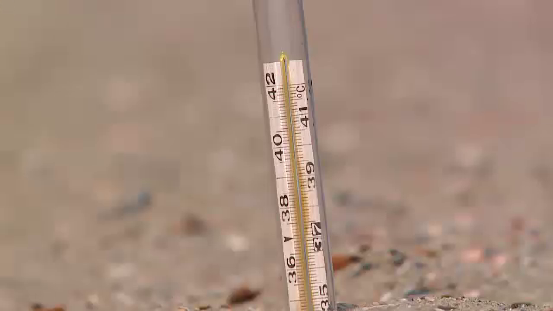 Vremea se incalzeste treptat, iar weekendul aduce din nou canicula. Ce temperaturi vor indura cei aflati pe litoral