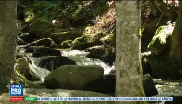 Peisaje de vis in Banatul montan, cu paduri si lacuri de o frumusete unica. Muntele Semenic atrage turisti de peste tot
