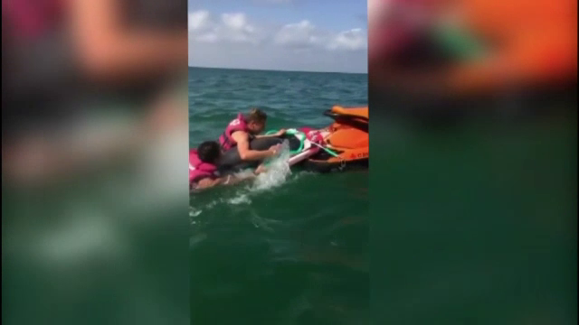 Salvare cu final tragic pe o plaja din Valencia. Salvamarii au depus eforturi imense pentru ajutorarea unui delfin esuat