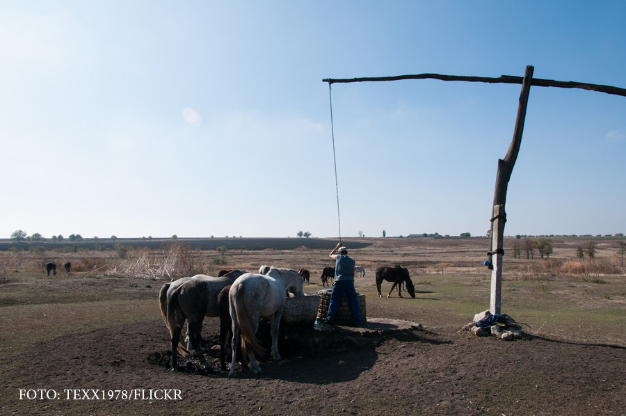 Localitatea unde inscriptiile in română au fost interzise. In ce limbi vor fi scrise pe placutele de pe case si strazi