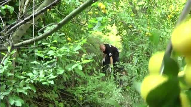 Barbatul care a abuzat o tanara de 25 de ani in Sibiu, prins de politisti. Dovada incontestabila a anchetatorilor