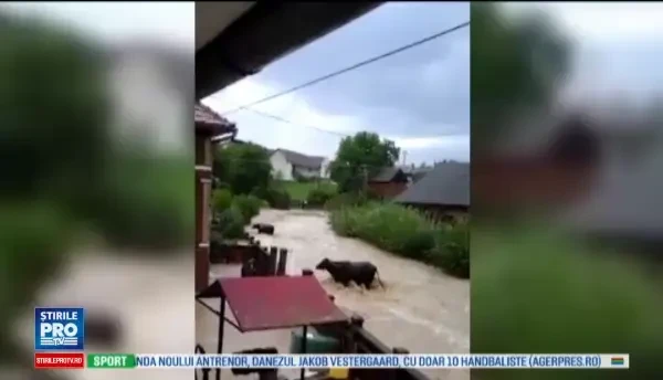 1400 de sportivi din Rio de Janeiro sunt sfatuiti sa tina gura inchisa cand ajung in apa. Ce patesc cei care nu asculta