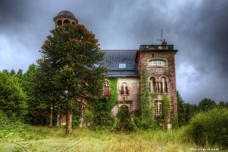 Un fotograf a intrat intr-o casa abandonata in urma cu 30 de ani de catre proprietar. Descoperirea bizara facuta inauntru