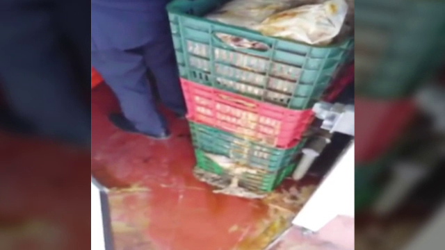 Condimente de shaorma expirate si peste vechi, care miroase groaznic. Descoperirea inspectorilor intr-un depozit din Capitala