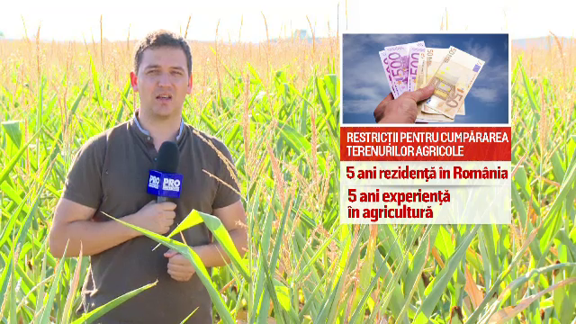 Romania va pune restrictii la vanzarea terenurilor agricole. Legea aflata in pregatire la minister